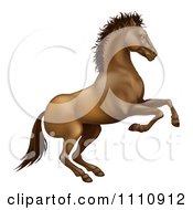 Poster, Art Print Of Rearing Brown Horse