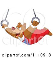 Clipart Athletic Gymnast Bear On The Flying Rings Royalty Free Vector Illustration by yayayoyo