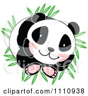 Poster, Art Print Of Cute Panda Curled Up On Bamboo Leaves