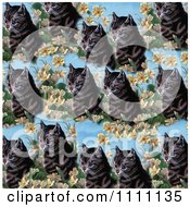 Collage Pattern Of A Cat And Flowers On Blue
