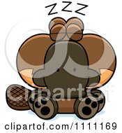 Poster, Art Print Of Cute Sleeping Platypus