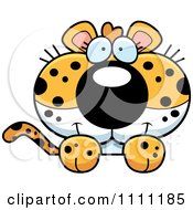 Cute Leopard Cub Hanging Over A Sign
