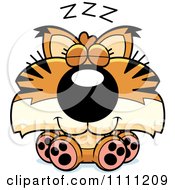 Poster, Art Print Of Cute Sleeping Bobcat Cub