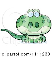 Cute Gecko Lizard
