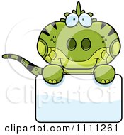 Cute Iguana Lizard Over A Sign