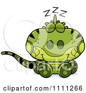 Cute Sleeping Iguana Lizard
