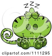 Cute Sleeping Green Chameleon Lizard