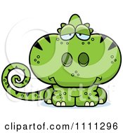 Cute Depressed Green Chameleon Lizard