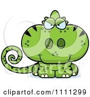 Cute Sly Green Chameleon Lizard