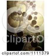 Poster, Art Print Of 3d Dna Double Helix Strand With Golden Lighting