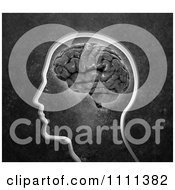 3d Silhouetted Head With Gray Brain And Cement Texture