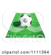 Poster, Art Print Of 3d Soccer Ball On A Field 1