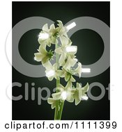 Clipart 3d Energy Saving Bulb Blossoms On A Flowering Plant Royalty Free CGI Illustration