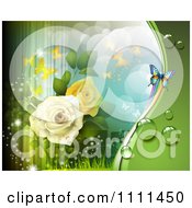 Poster, Art Print Of Background Of Yellow And White Roses Butterflies Light And Flares 2