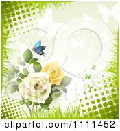 Poster, Art Print Of Background Of Yellow And White Roses With Butterflies And Halftone