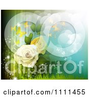 Poster, Art Print Of Background Of Yellow And White Roses Butterflies Light And Flares 1