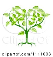 Poster, Art Print Of Green Seedling Plant With Foliage Forming A Heart