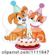 Cute Puppy And Cat Wearing Party Hats And Smiling Over A Birthday Cake