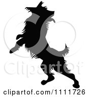 Poster, Art Print Of Silhouetted Dog Jumping In Black And White