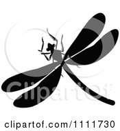 Clipart Silhouetted Dragonfly In Black And White Royalty Free Vector Illustration