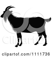 Poster, Art Print Of Silhouetted Goat In Black And White