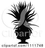 Silhouetted Potted Aloe Plant In Black And White