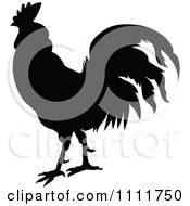 Clipart Silhouetted Rooster In Black And White Royalty Free Vector Illustration