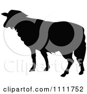 Clipart Silhouetted Sheep In Black And White Royalty Free Vector Illustration
