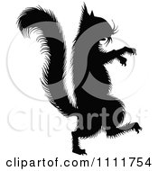 Clipart Silhouetted Squirrel In Black And White Royalty Free Vector Illustration
