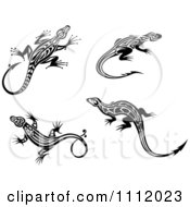 Poster, Art Print Of Black And White Tribal Lizards 2
