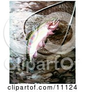 Poster, Art Print Of A Golden Trout In A Fishing Net