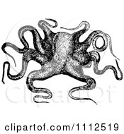 Clipart Vintage Black And White Octopus 2 Royalty Free Vector Illustration by Prawny Vintage