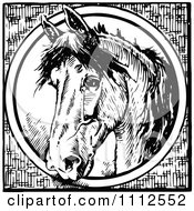 Poster, Art Print Of Vintage Black And White Horse Through A Circle