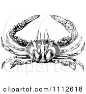 Clipart Black And White Vintage Crab 1 Royalty Free Vector Illustration