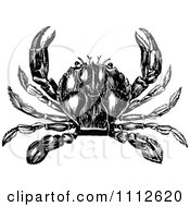 Poster, Art Print Of Black And White Vintage Crab 3