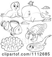 Poster, Art Print Of Outlined Seal Whale Clownfish Lobster And Halibut