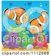 Clownfish Pair Over An Octopus And Crab In Soft Corals