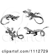 Poster, Art Print Of Black And White Tribal Lizards 3