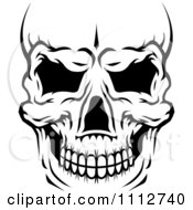 Poster, Art Print Of Black And White Human Skull Close Up And Cropped