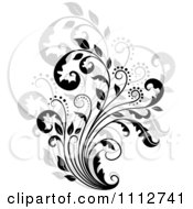 Poster, Art Print Of Black Floral Scroll Over Gray