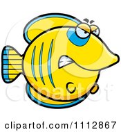 Angry Butterflyfish