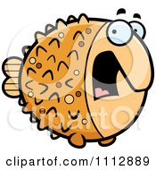Poster, Art Print Of Scared Blowfish