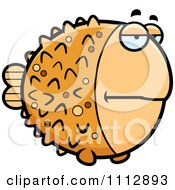 Poster, Art Print Of Bored Blowfish