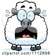 Poster, Art Print Of Frightened Sheep