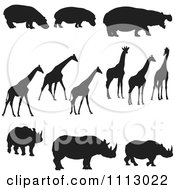 Poster, Art Print Of Black Silhouetted Hippos Giraffes And Rhinos