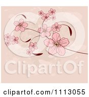 Poster, Art Print Of Pink Cherry Blossoms On A Branch Over Grunge