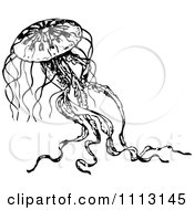Clipart Vintage Black And White Jellyfish 2 Royalty Free Vector Illustration by Prawny Vintage