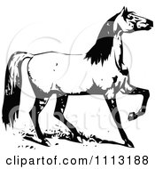 Clipart Retro Black And White Horse Lifting A Leg Royalty Free Vector Illustration