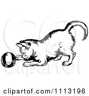 Poster, Art Print Of Vintage Black And White Kitten Playing With A Ball