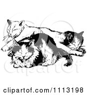 Poster, Art Print Of Vintage Black And White Cats Napping